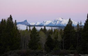 1 first light (THE GREENING)