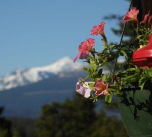 1 perkins peak (Perkins Peak 2024)