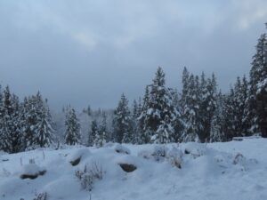 1 soggy snow (The Non-Winter.)