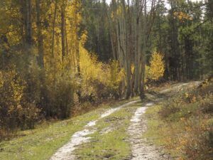 11 dillon’s road (Fall 2024)