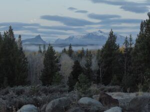 12 colour gone (Fall 2024)