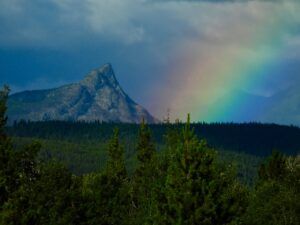 14 rainbow (Summer 2024)