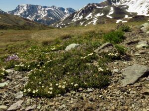 13 hell ravin (Perkins Peak 2024)