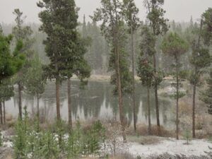 14 first snow (Fall 2024)