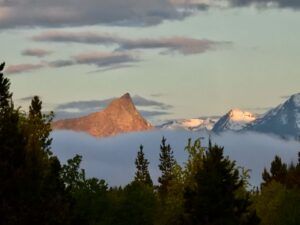 1a FP (Moving Into Summer)