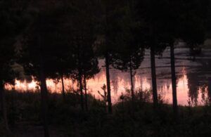 1 sunrise in pond (Fall 2024)