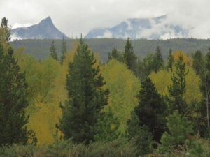 4 continued rain (Fall 2024)