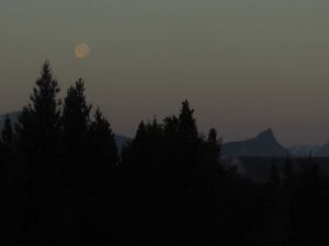 7 smoky moon (Summer 2024)