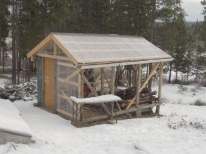 IMG_0368 (Summer 2024)