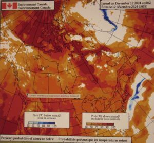 monthly forecast (The Non-Winter.)