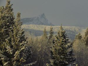 10 more morning light (Happy New Year.)