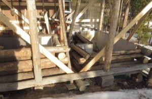 12 gh 1 (Happy New Year.)