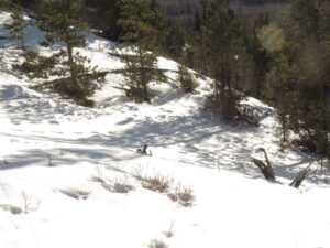 16 sunny.  little snow (Happy New Year.)