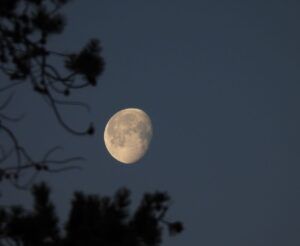 moon past full (Happy New Year.)