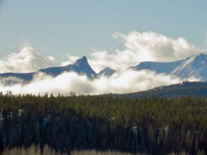 17. FP (Happy New Year.)