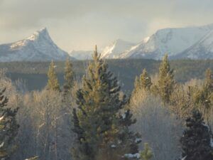 1 Dec 24 (Happy New Year.)