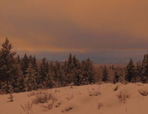 3 morning glow (Happy New Year.)