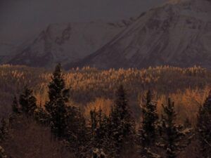 5 more weird light (Happy New Year.)