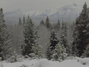 6 back to gray. (Happy New Year.)