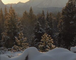 8 evening sun (Happy New Year.)