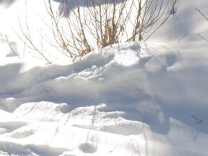 3 beutiful sun (Almost Equinox 2025.)