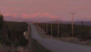 12 looking back (Leaves at Last)