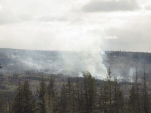 17 first fire. Ap 24 (Signs of Spring)