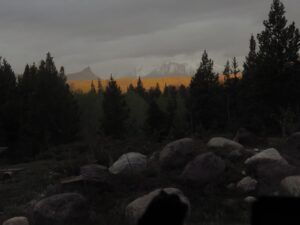 23 stormy morning (Leaves at Last)