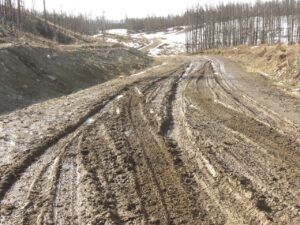 3 road (Signs of Spring)