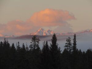 29 still later (Leaves at Last)