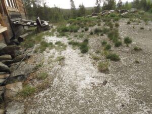 30 hail (Leaves at Last)