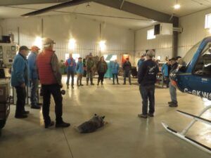 6 heli awareness (Signs of Spring)