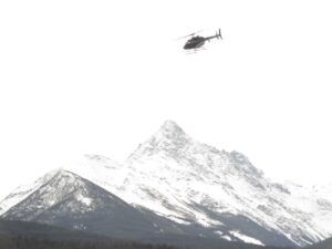 7 over mets (Signs of Spring)