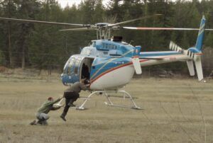 8 hover exit (Signs of Spring)