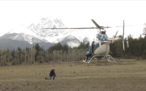 9 heli exit 2 (Signs of Spring)