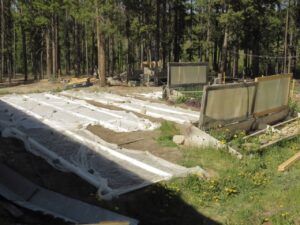 garden (Leaves at Last)