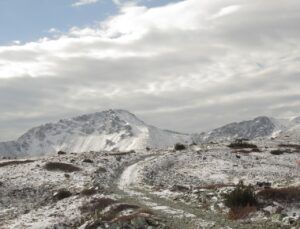 10 to mine (Perkins Peak 10th Oct.)