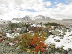 10 PP plus mt ash (Perkins Peak 10th Oct.)