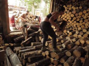 starting to fill woodshed (Summer)