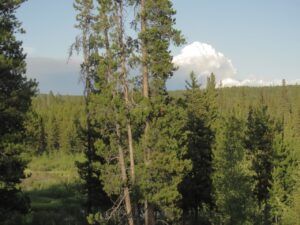 13 smoke from house (June 2025)