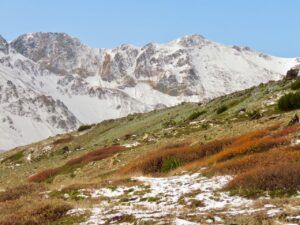 15 close to mine (Perkins Peak 10th Oct.)