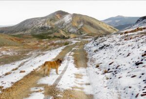 18 homeward (Perkins Peak 10th Oct.)