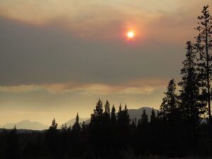 KK fire best (Summer)