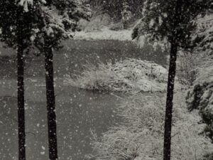 2 beaver hgouse (Winter comes (or tries to.))