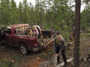 2 in the bush (Firewood)