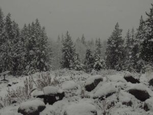 2 oct 25 (Winter comes (or tries to.))