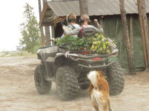 2 plant delivery (Summer)