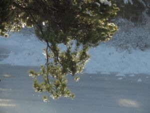 3 thaw (Winter comes (or tries to.))