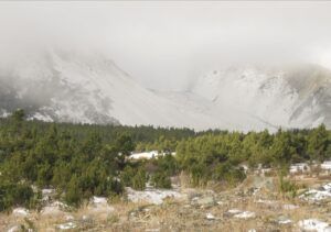 6 almost treeline (Perkins Peak 10th Oct.)