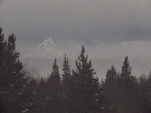 FP gloom (Winter comes (or tries to.))